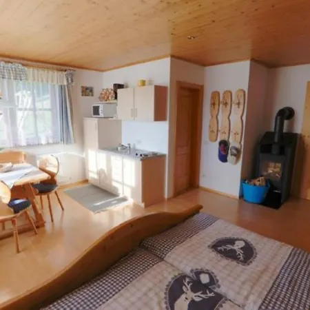 Apartmán Ferienwohnung Schmittenstuberl